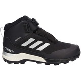 Adidas Terrex Winter Mid BOA RAIN.RDY Core Black / Silver Metallic / Core Black 28