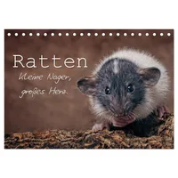 Calvendo Ratten. Kleine Nager, großes Herz. (Tischkalender 2026 DIN