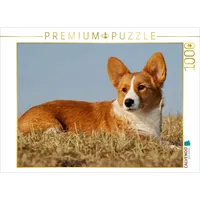 Calvendo Ein Motiv aus dem Kalender Welsh Corgi -