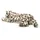 Steiff Parddy Schneeleopard 55 cm Creme