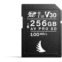 Angelbird AV PRO SD V30 256 GB