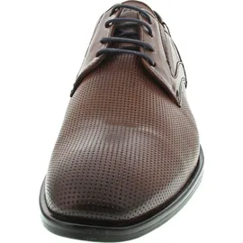 LLOYD Kelsan braun 42,5