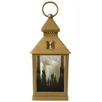Groovy Harry Potter Lantern Merch
