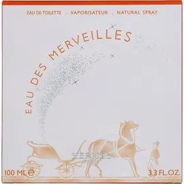 Hermès Eau des Merveilles Eau de Toilette 100 ml