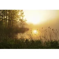 Papermoon Fototapete Stunning Foggy Landscape bunt Fototapeten Tapeten Bauen