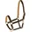 Warmblut Braun/Gold