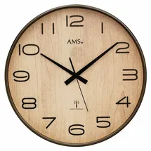AMS Funkwanduhr 5,0 F5523 grau