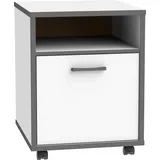 Forte Keflavik Rollcontainer 49,8 x 52,2 x 64,6 grau/weiß