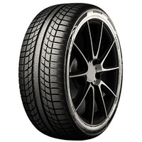 Evergreen EA719 205/55 R16 94V