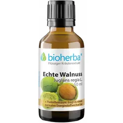 Bioherba Echte Walnuss Juglans regia L. Tropfen Tinktur Extrakt 50 ml