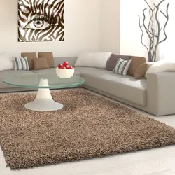 Hochflor-Teppich AYYILDIZ TEPPICHE "Life Shaggy 1500", braun (mokka), B:120cm H:30mm L:170cm, Kunstfaser, Teppiche, Langflor, uni, große Farbauswahl, robust, auch als Läufer und in rund