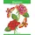 Independently published Malen nach Zahlen: Blumen zum Entspannen und Träumen, Malen und entspannen + BONUS: 26 kostenlose Malvorlagen zum Ausmalen