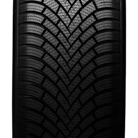 Nexen Winguard Snow`G 3 WH21 225/55 R16 95H