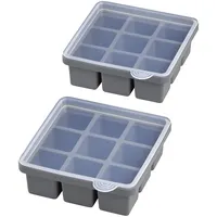 APS Eiswürfelform 9er grau, 2 St.