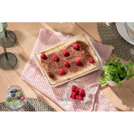 Emsa Frischhaltedose rechteckig rot 26,5 x 19,5 cm 2 l
