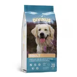 DIVINUS Adult für ausgewachsene Hunde 20kg