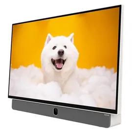 Metz 24MPE7000Z 24" LED Full HD Smart TV