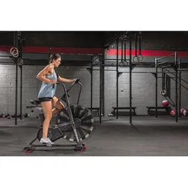 Schwinn Airdyne AD8 schwarz