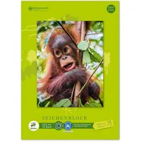 Edition Dürer Zeichenblock green DIN A4