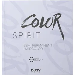 dusy professional Color Spirit Farbkarte