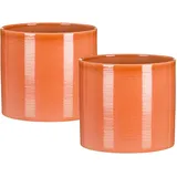 Scheurich Ø 16 x 15 cm Papaya Komplettset