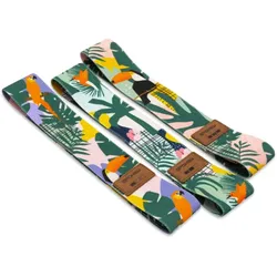 Spokey Home Jungle Widerstandsbänder-Set + Verpackung
