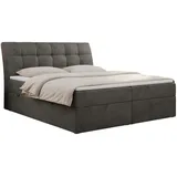 MKS Boxbett, DIEGOS 160/200 Dunkelgrau Velvet - H4