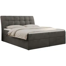MKS Boxbett, DIEGOS 160/200 Dunkelgrau Velvet - H4