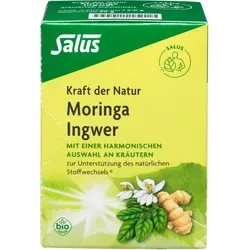 MORINGA INGWER Kräutertee Kraft der Natur Salus 15 St.