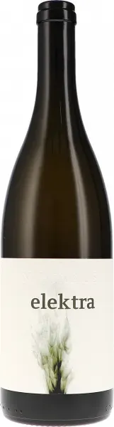 Grüner Veltliner Elektra Nittnaus Anita & Hans 2022 BIO