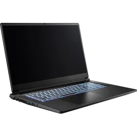 CAPTIVA Advanced Gaming I94-365GE 17,3'' Intel Core i7-13620H 32 GB RAM 1 TB SSD RTX 5070 ohne Betriebssystem