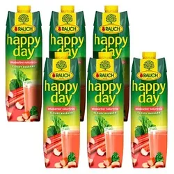 happy day Fruchtnektar Rhababer 6x1,0 l