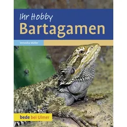 Bartagamen