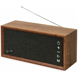 Dynavox FMP3 BT