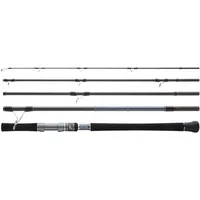 Hearty rise Skywalker Shore Jigging 2,91m 120g - Reiserute,