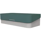 Helit Tischorganizer the companion H6252552 Grün