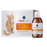 Recoactiv Nieren Tonicum für Katzen 3 x 90 ml