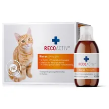 Recoactiv Nieren Tonicum für Katzen 3 x 90 ml