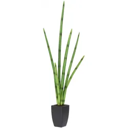 Gasper Sanseveria im Kunststofftopf 100 cm Topfpflanze Kunstpflanze PU