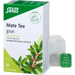 MATE TEE grün Kräutertee Mate folium Bio Salus 15 St