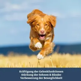 TJURE Gelenk Tabs + Liquid 750 g