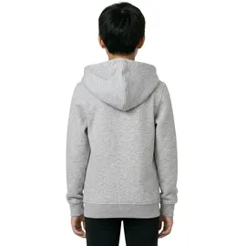 Mister Tee Hoodie Grey 122
