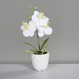 Mini Orchidee Real Touch 24cm im weißen Keramiktopf DP künstliche Blumen Orchideen Kunstpflanze (Weiß)