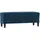 vidaXL Sitzbank 100 x 35 x 41 cm Blau