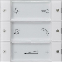 Gira Aufsatz Bedientaster Wohnungsstation System 55 klar