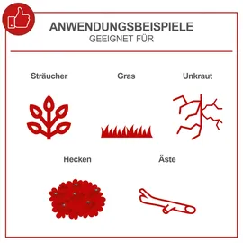SCHEPPACH - Benzin 4in1 Freischneider Rasenmaher 2-takt Motor 52cc PMT520 1,4 kW)