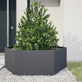 vidaXL Sechseckig 138 x 120 x 45 cm Anthrazit