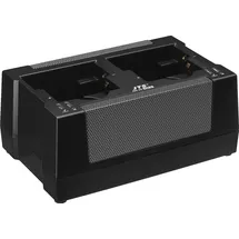 JTS CH-2 Ladestation 2-fach