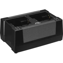 JTS CH-2 Ladestation 2-fach