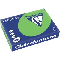 Clairefontaine Trophée A4 160 g/m2 250 Blatt maigrün